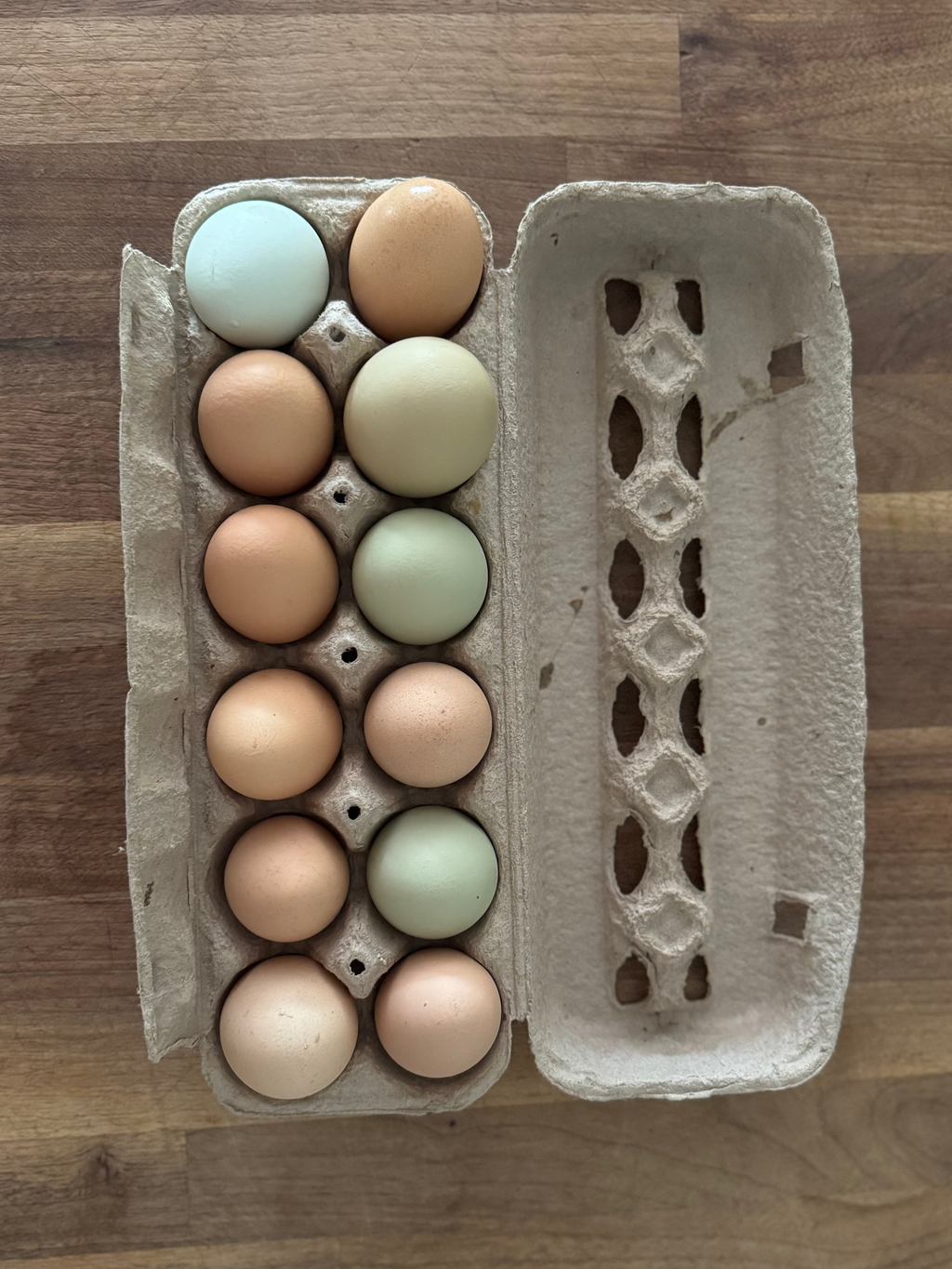 Pasture-Raised Eggs