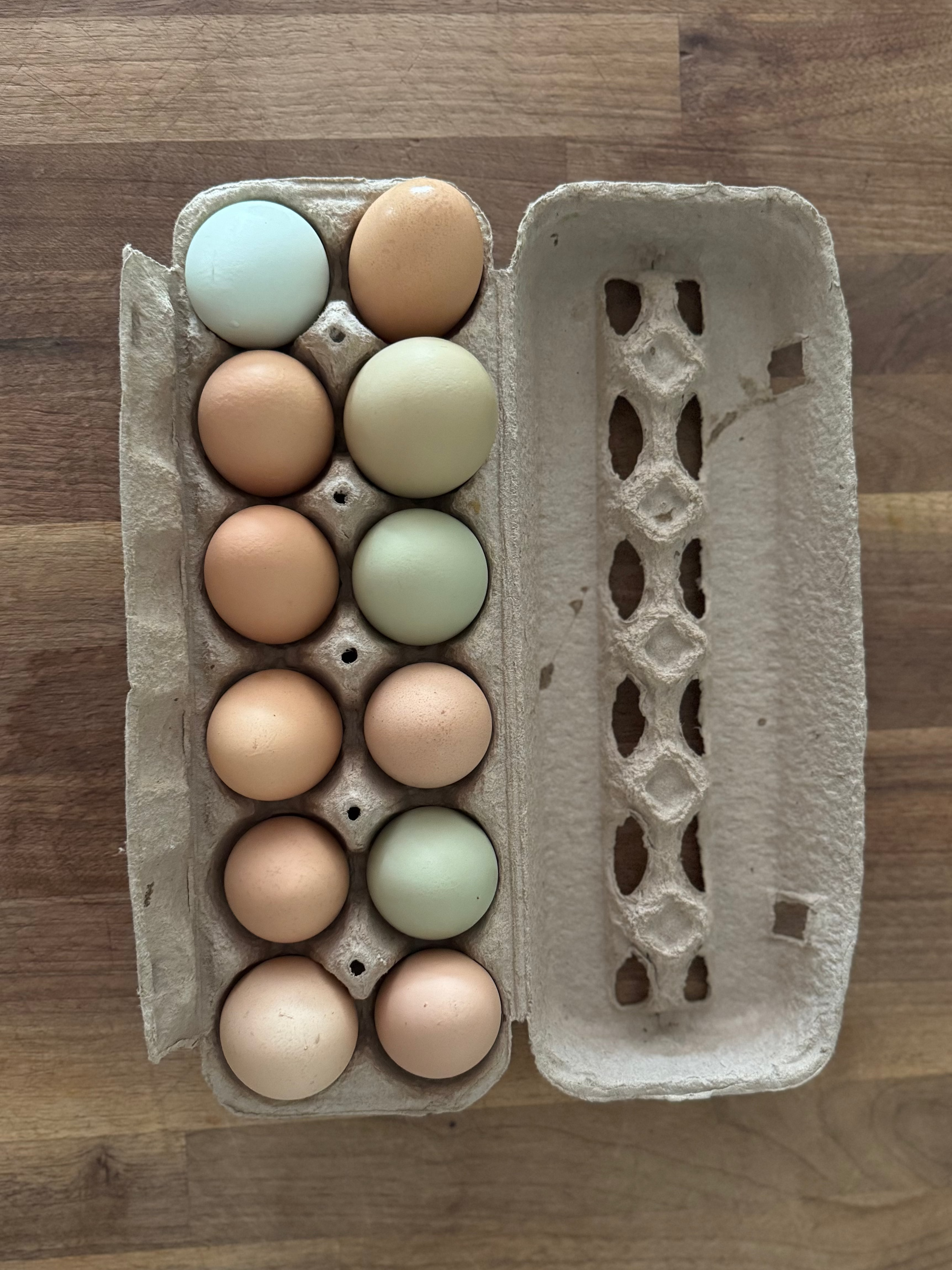 Pasture-Raised Eggs
