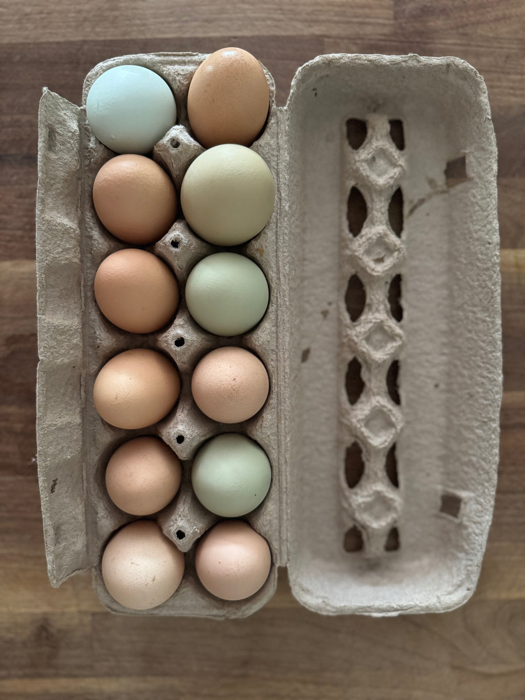 Pasture-Raised Eggs