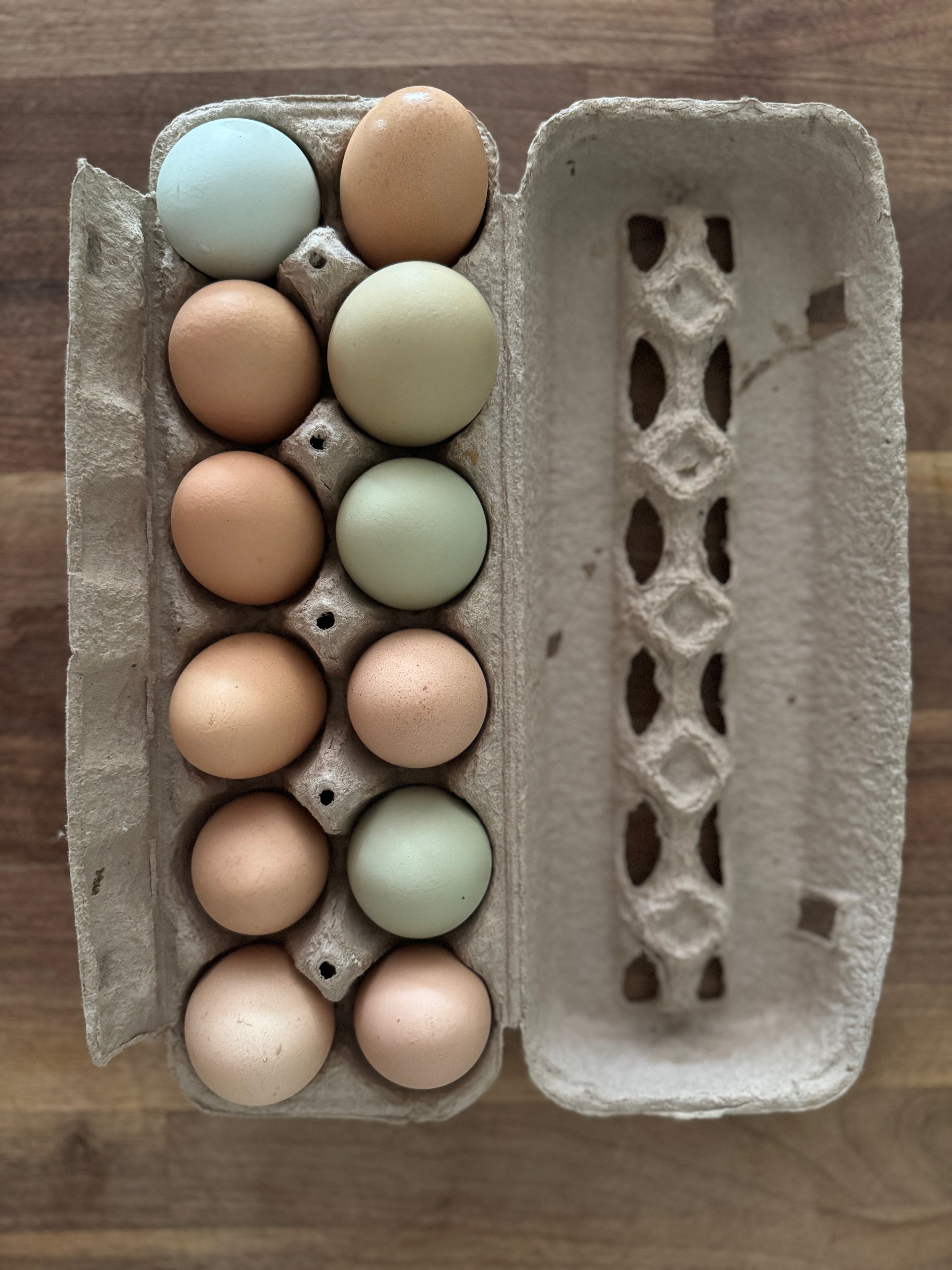 Pasture-Raised Eggs