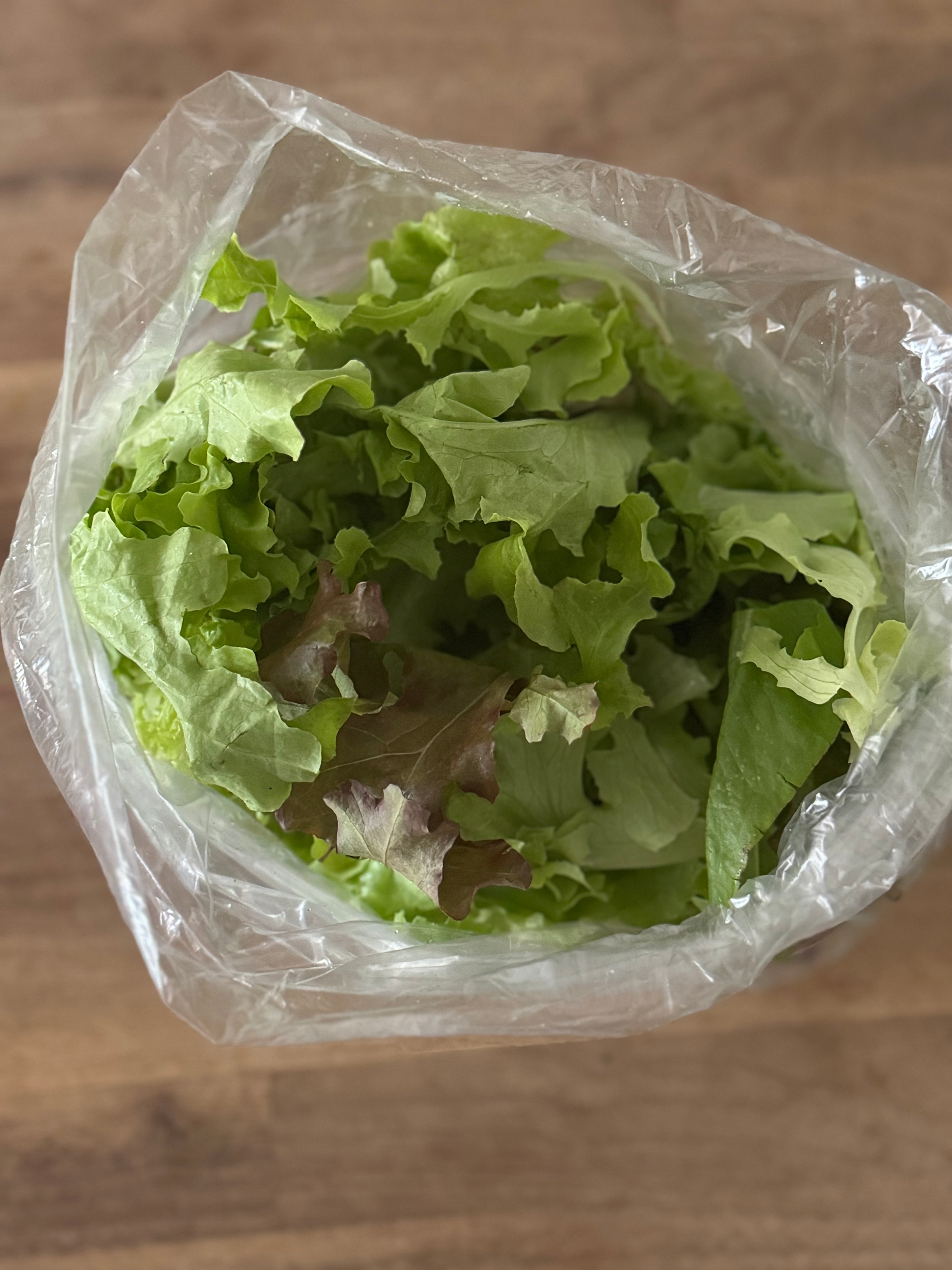 Certified Organic Leafy Green Salad Mix (Bag)