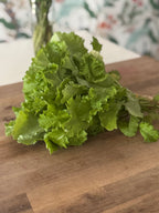 Certified Organic Mustard Greens (Tender Bunch)