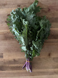 Certified Organic Siberian Kale (Bunch)