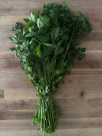 Certified Organic Long Bunching Celery (bunch)