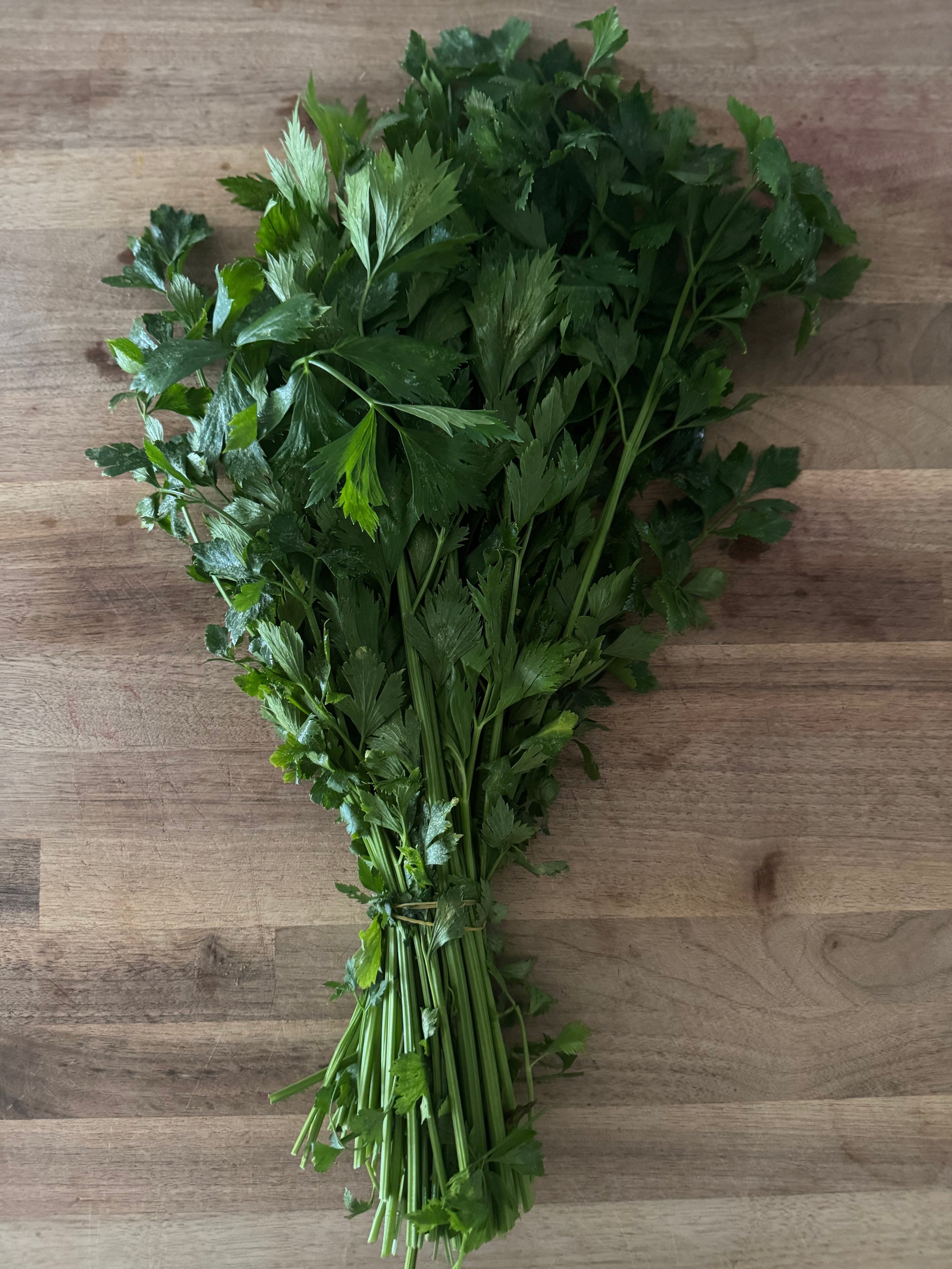 Certified Organic Long Bunching Celery (bunch)