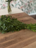 Certified Organic Long Bunching Celery (bunch)