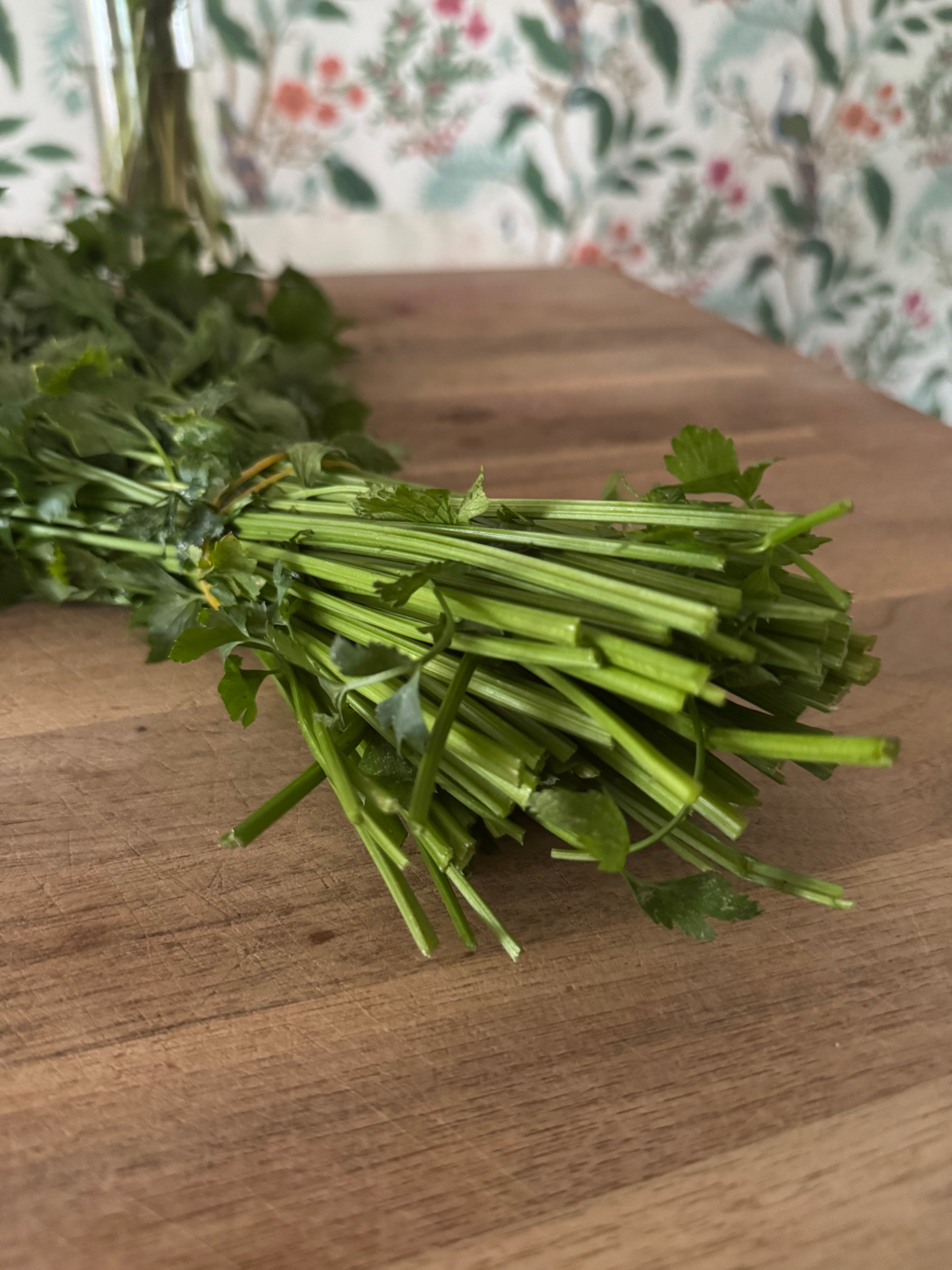 Certified Organic Long Bunching Celery (bunch)
