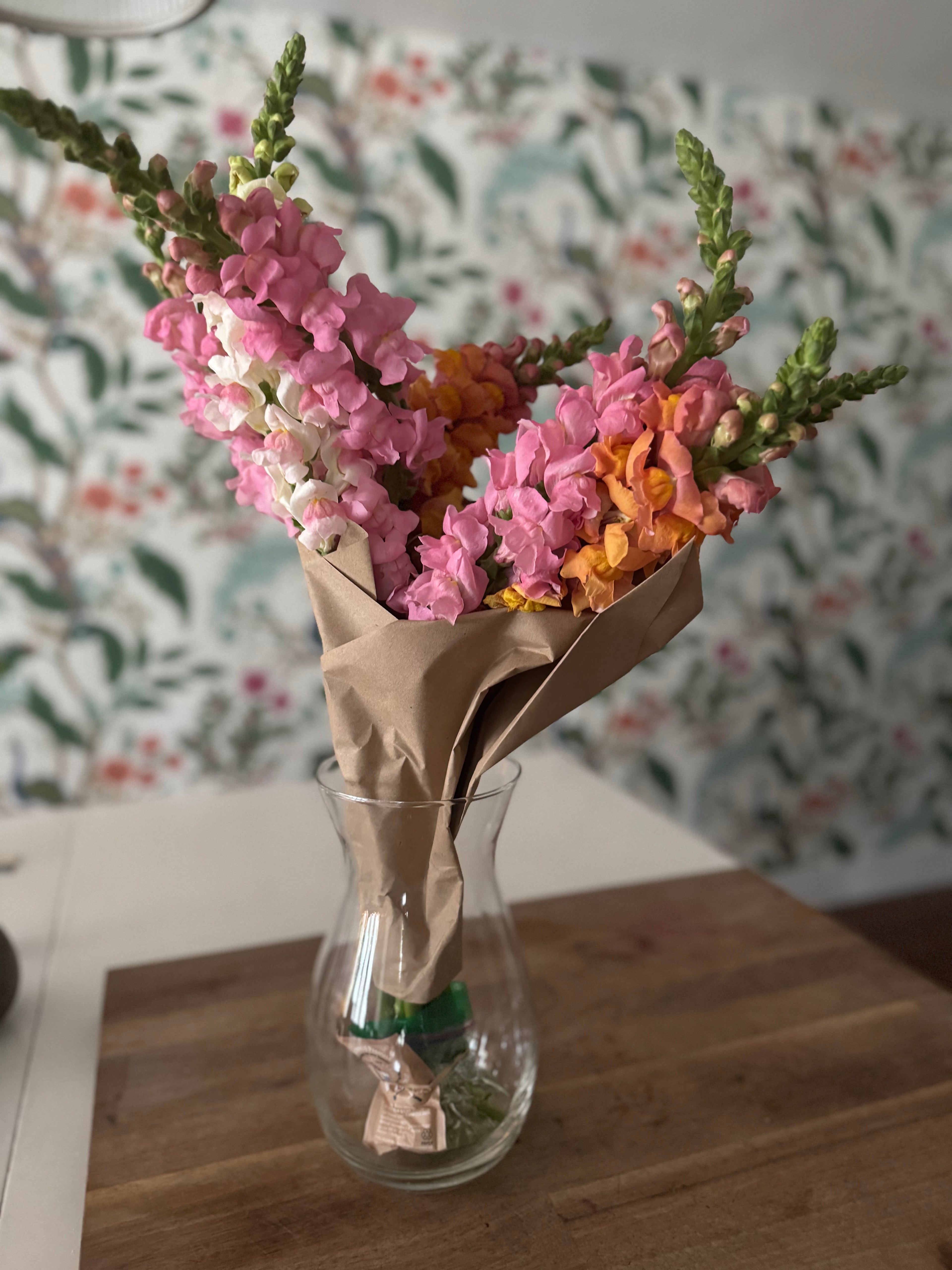 Fresh Snapdragon Bouquets (approx 7 stems)