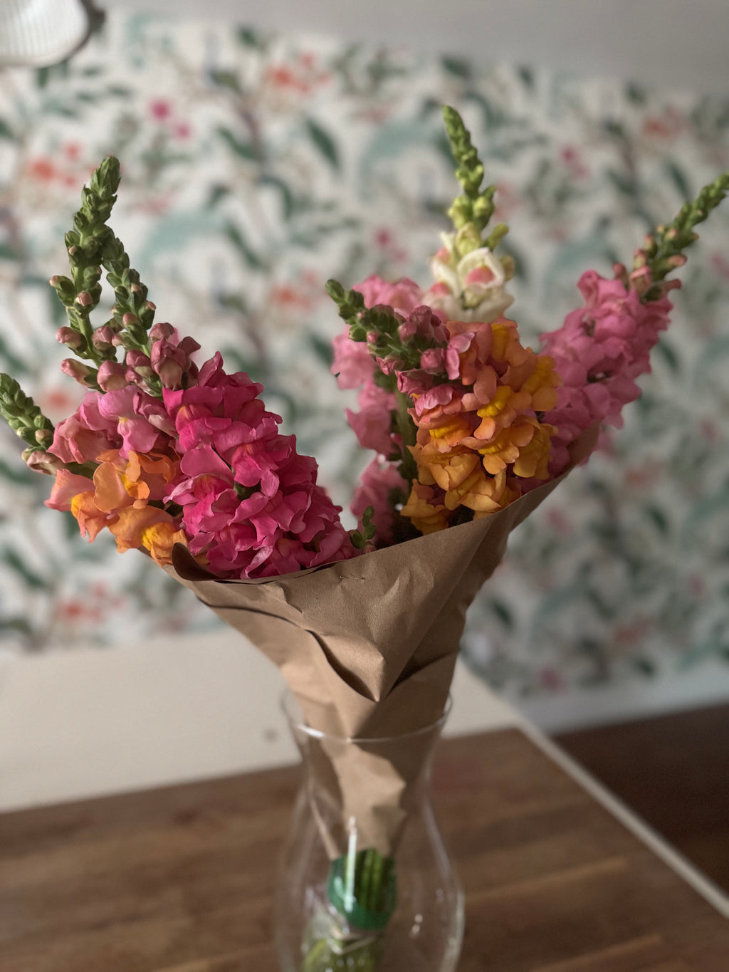Fresh Snapdragon Bouquets (approx 7 stems)