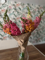 Fresh Snapdragon Bouquets (approx 7 stems)
