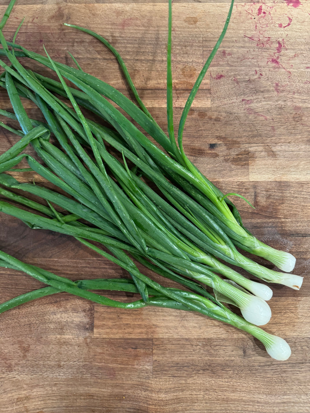 Bunching Green Onions