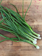 Bunching Green Onions