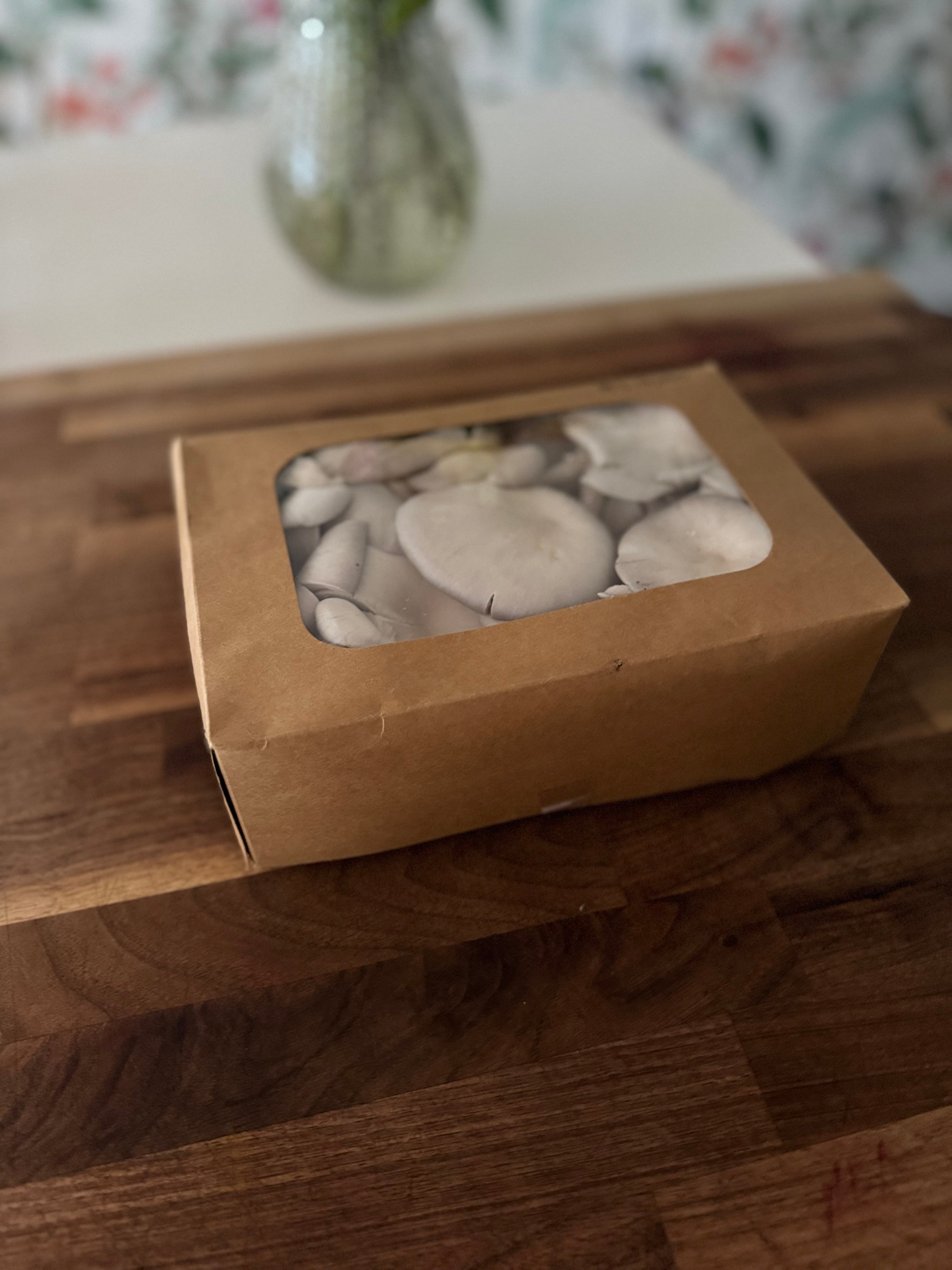 Blue Oyster Fresh Mushrooms (1lb)