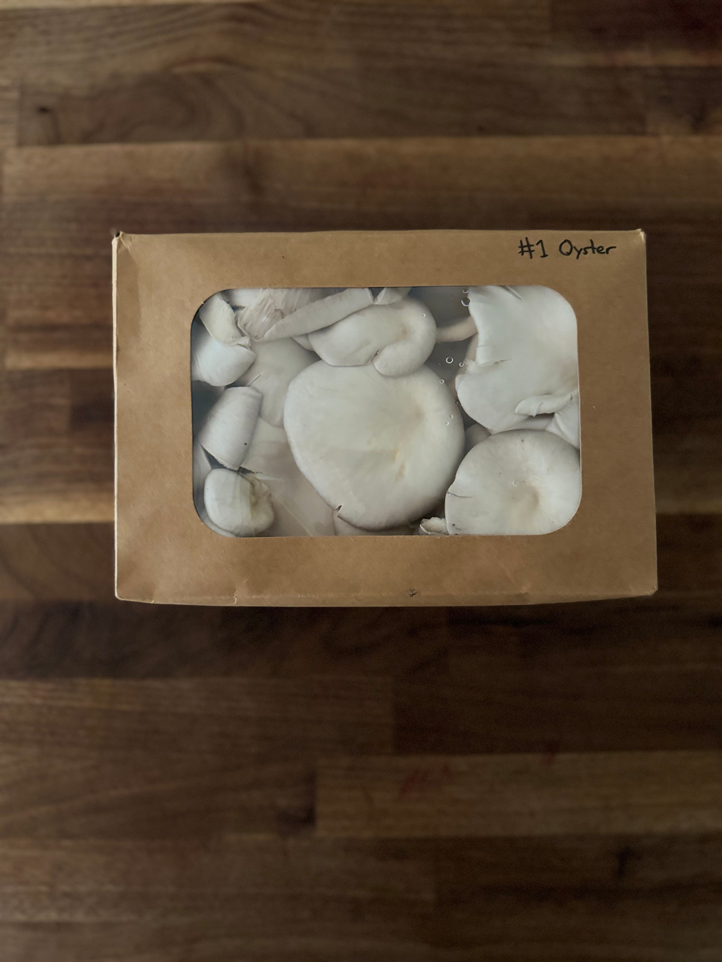 Blue Oyster Fresh Mushrooms (1lb)