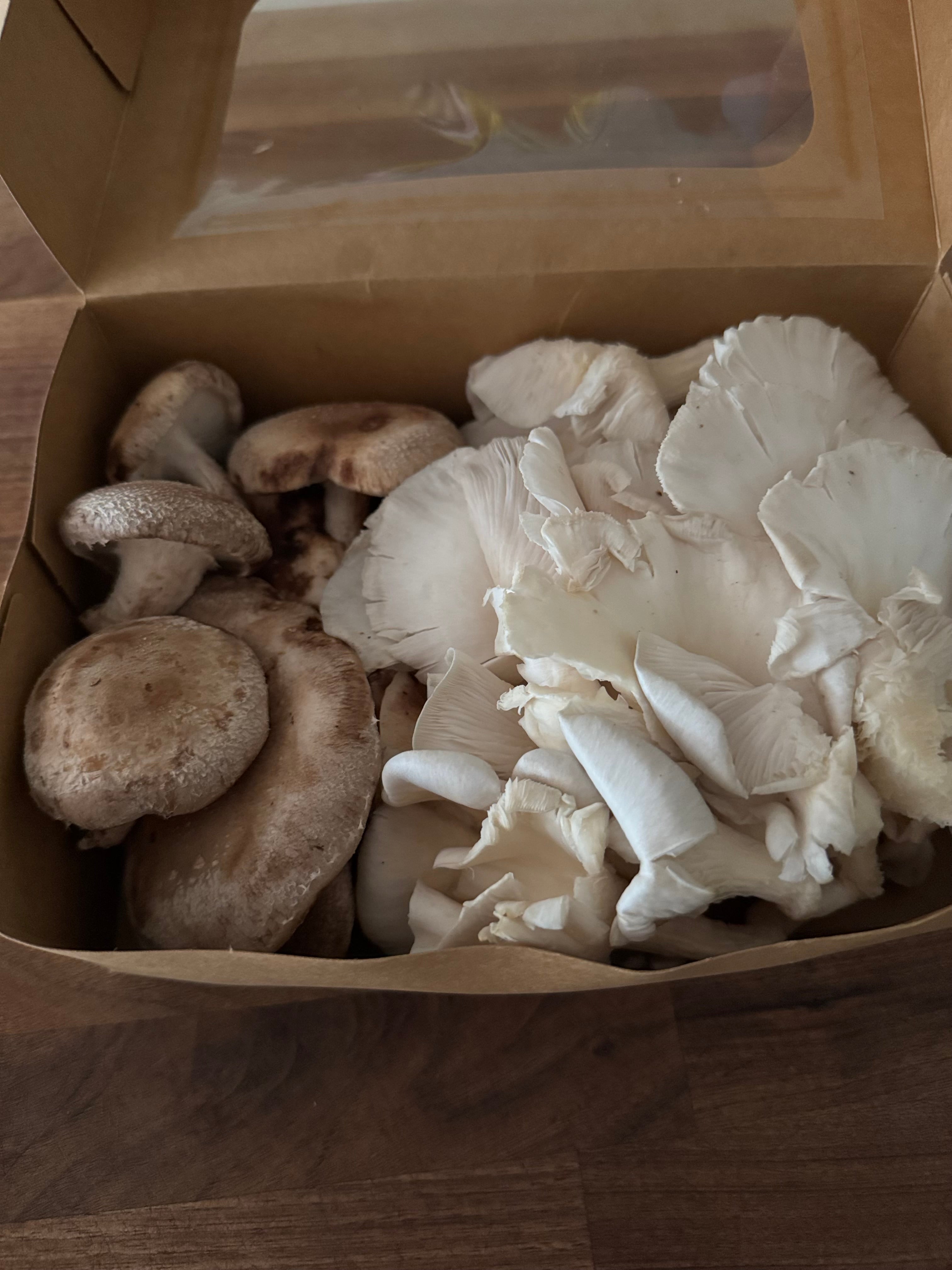 Blue Oyster + Shiitake Mix (Fresh Mushrooms, 1lb)