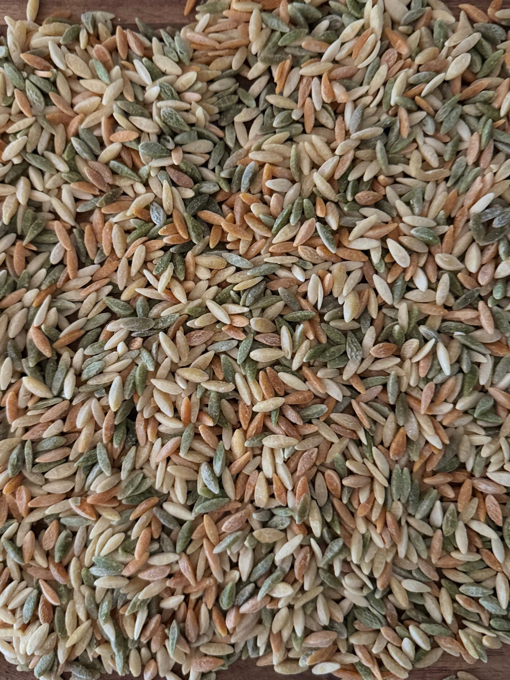 Tri-Color Orzo (Dried, 1lb)
