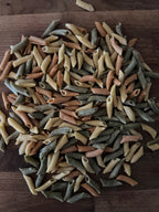 Tri-Color Penne (Dried, 1lb)
