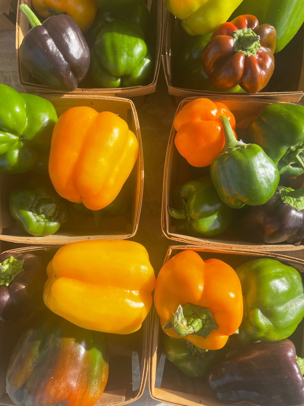 Bell Peppers - Mixed Colors (quart)