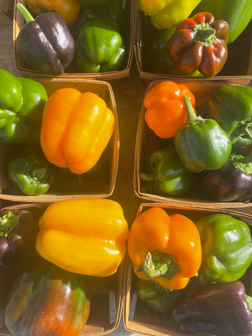 Bell Peppers - Mixed Colors (quart)
