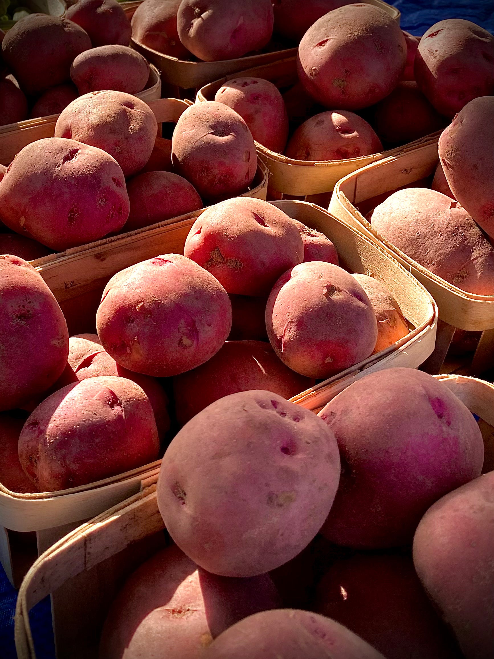 Red Potatoes (1 quart)
