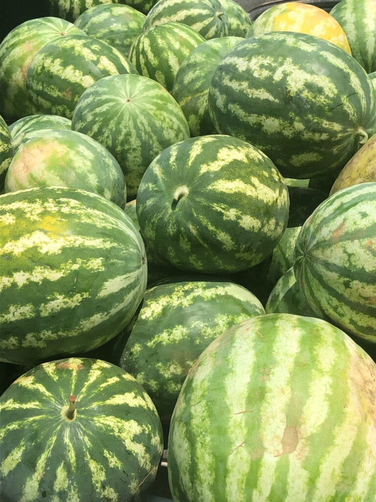 Crimson Sweet Watermelon (single, seeded)