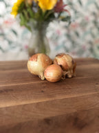Certified Organic Yellow Onions (1lb)