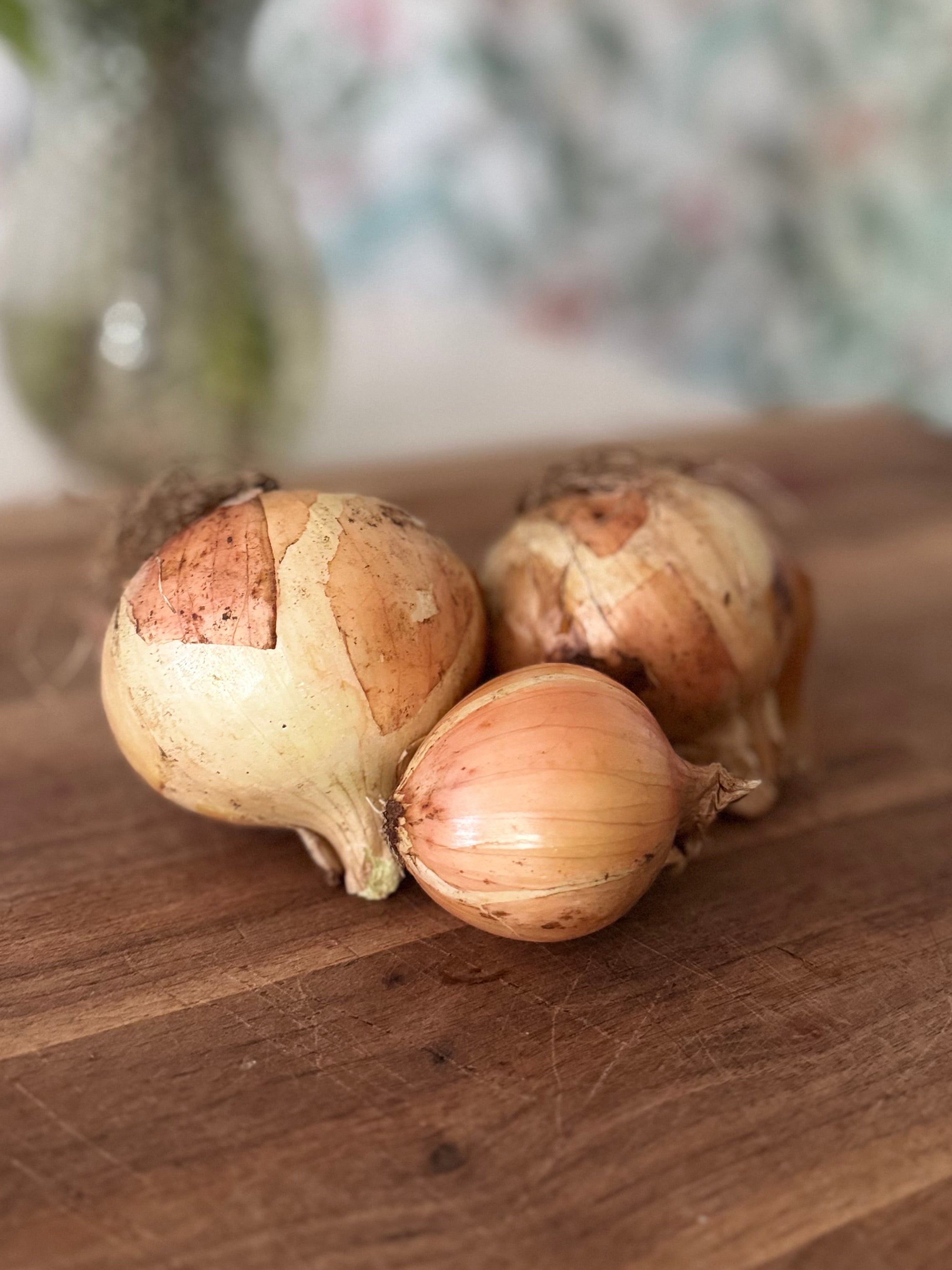 Certified Organic Yellow Onions (1lb)