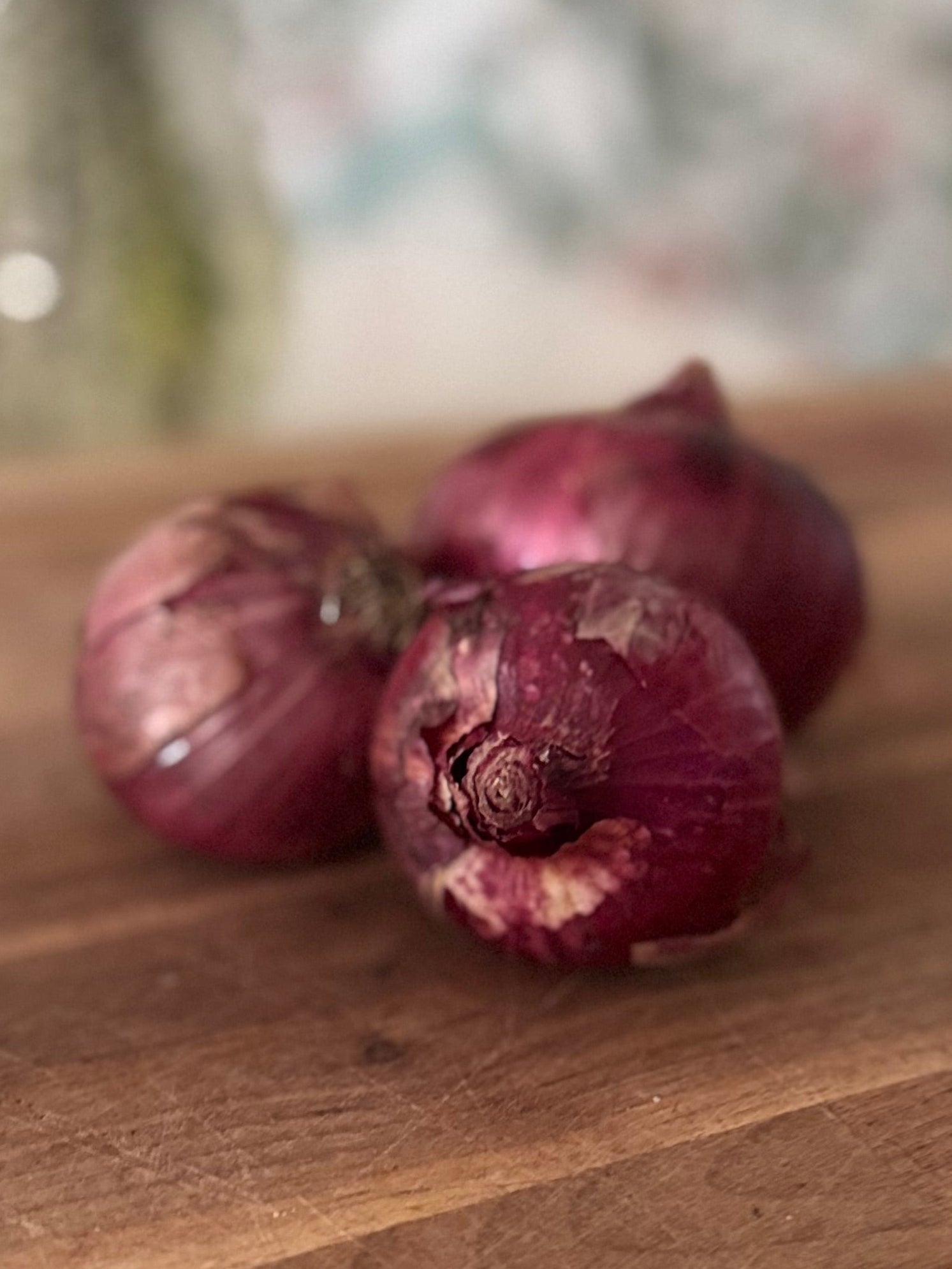 Certified Organic Red Onions (1lb)