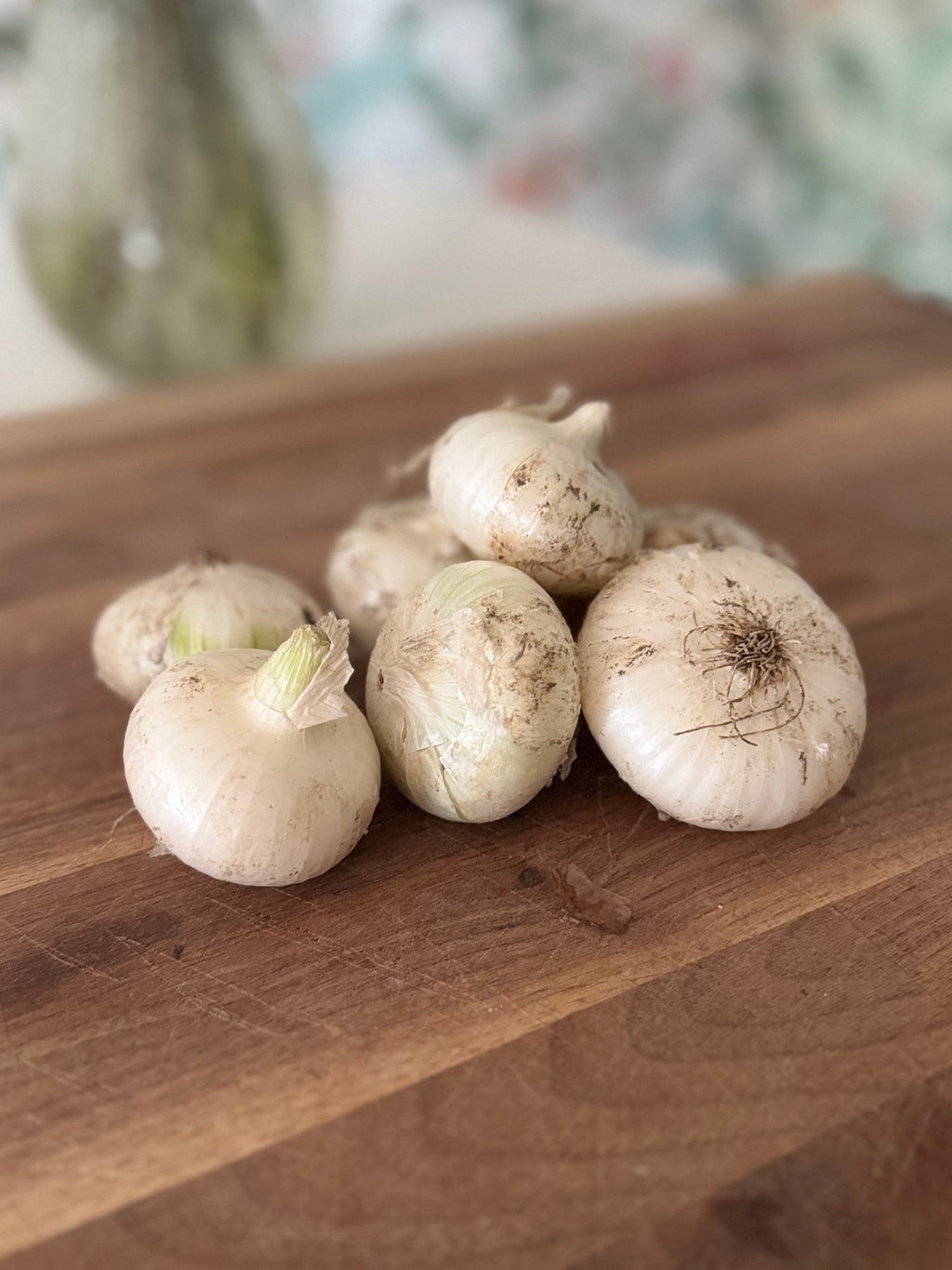 Certified Organic White Onions (1lb)