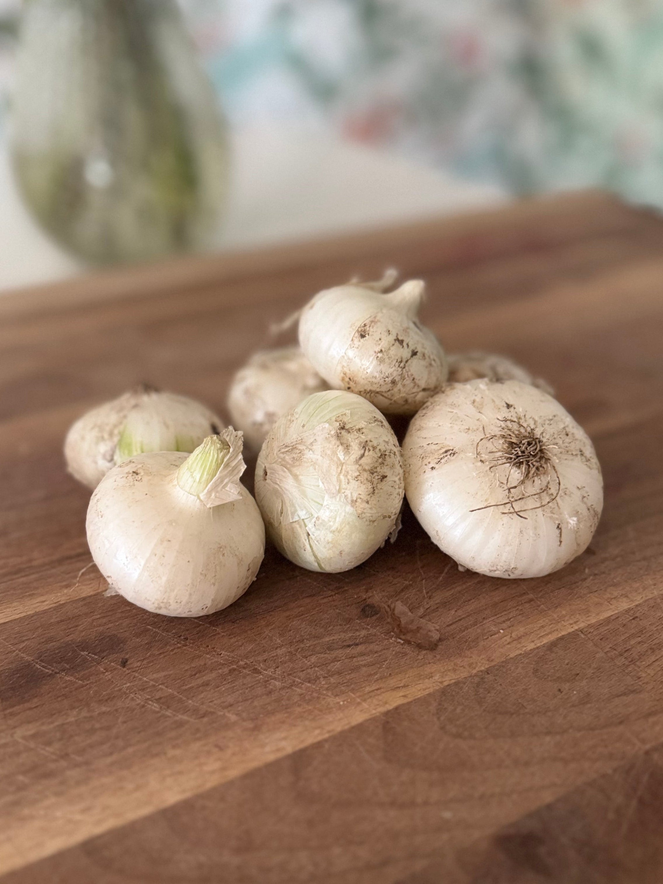Certified Organic White Onions (1lb)