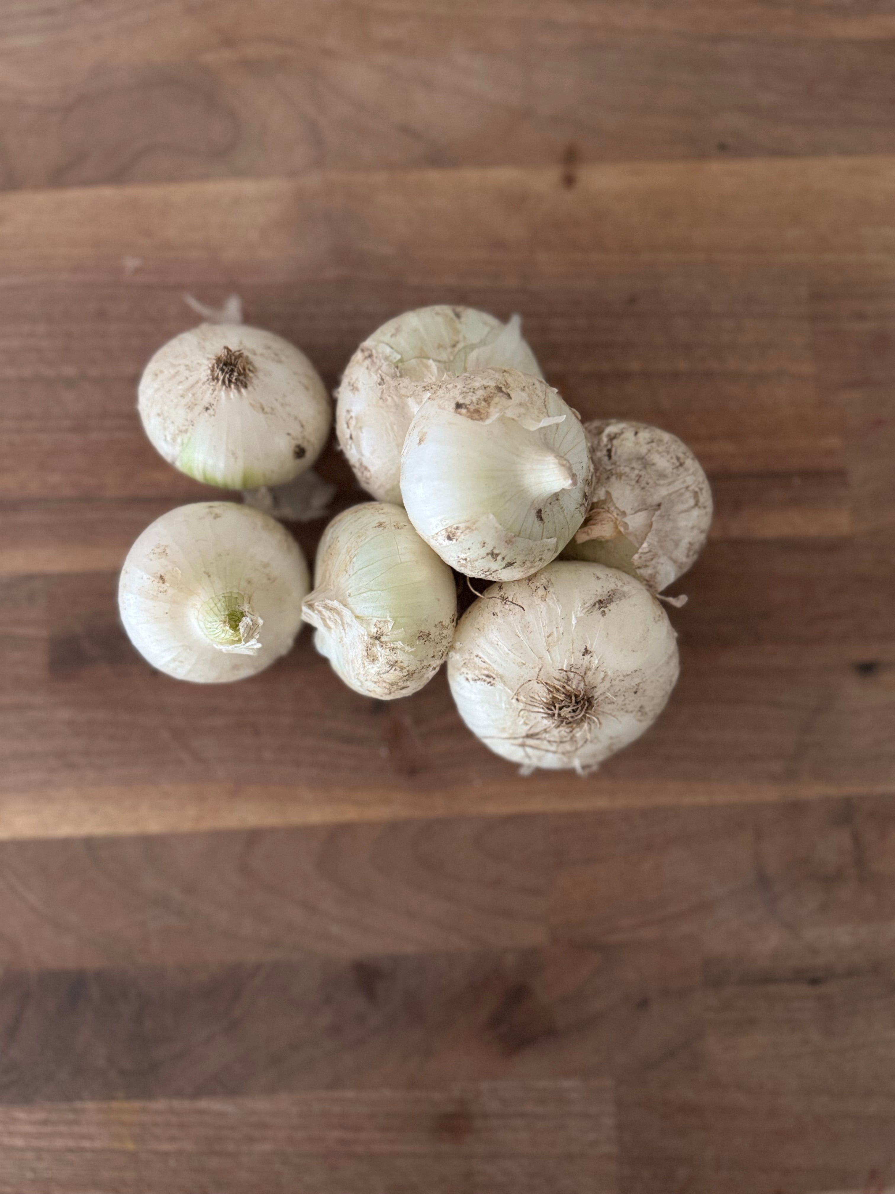 Certified Organic White Onions (1lb)