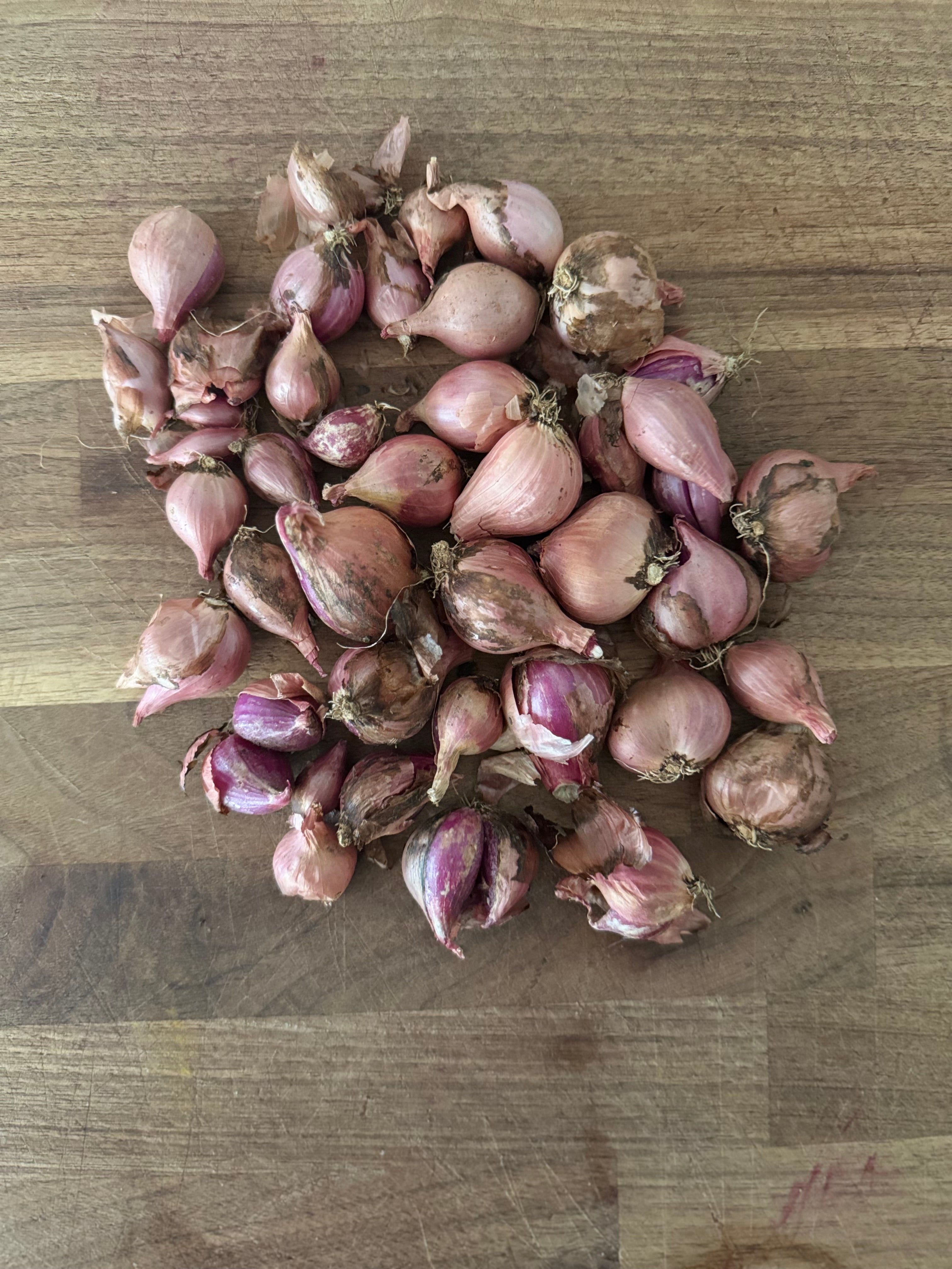 Certified Organic Walking Onions (1/2lb)