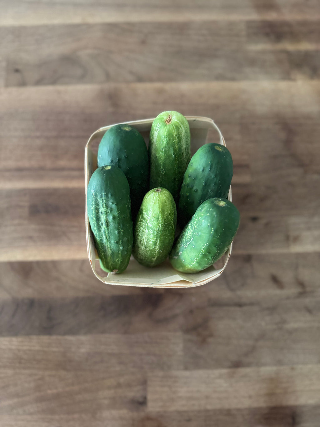 Cucumbers (1 quart)