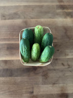 Cucumbers (1 quart)