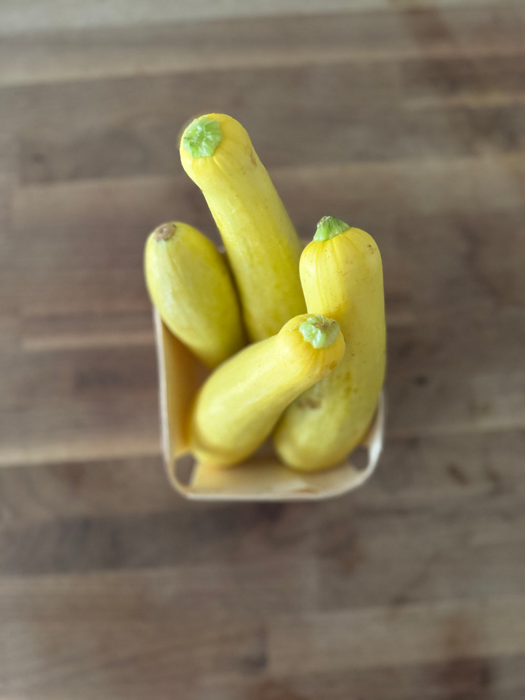 Yellow Squash (1 quart)