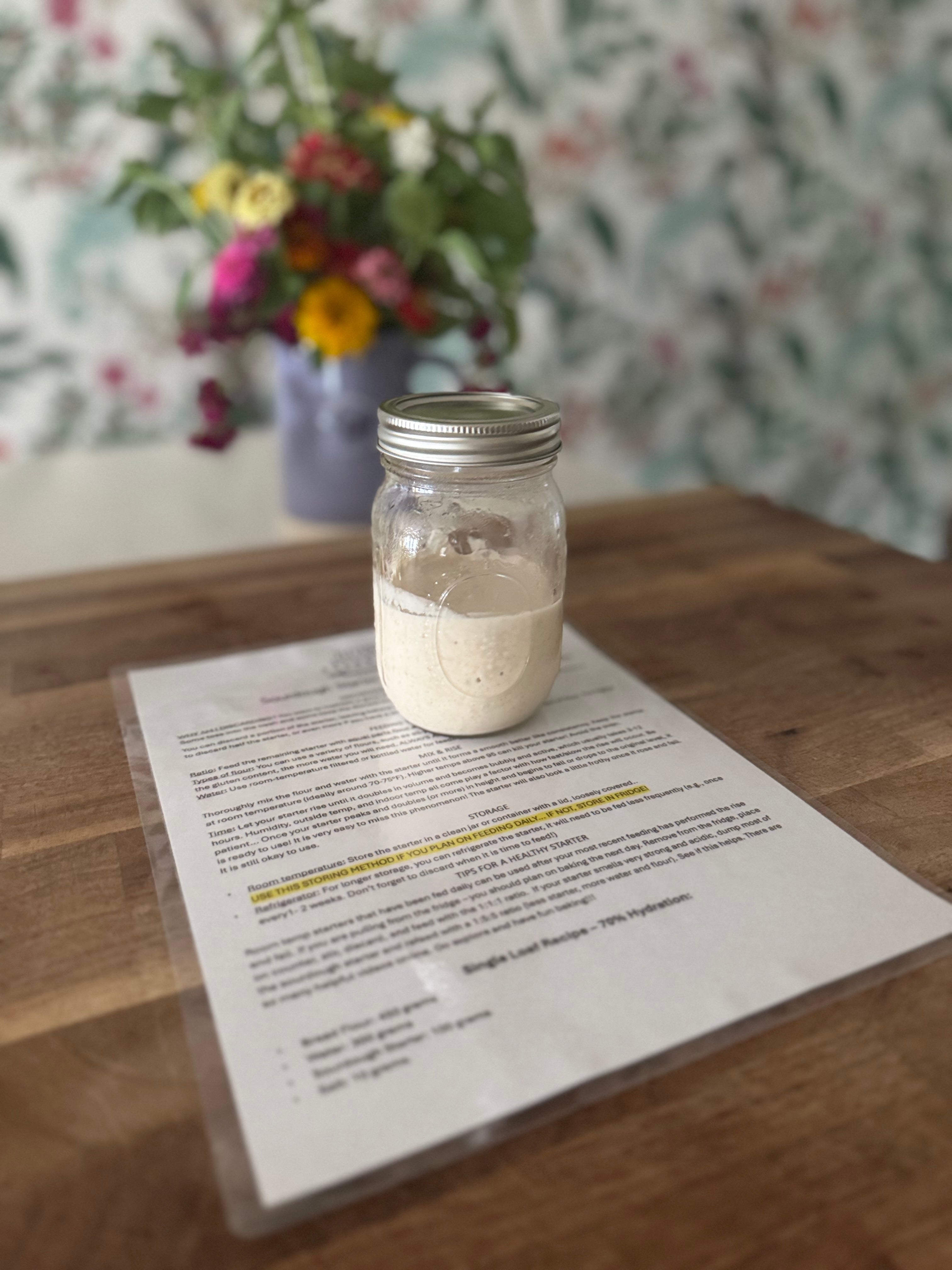 Live Sourdough Starter (glass jar)