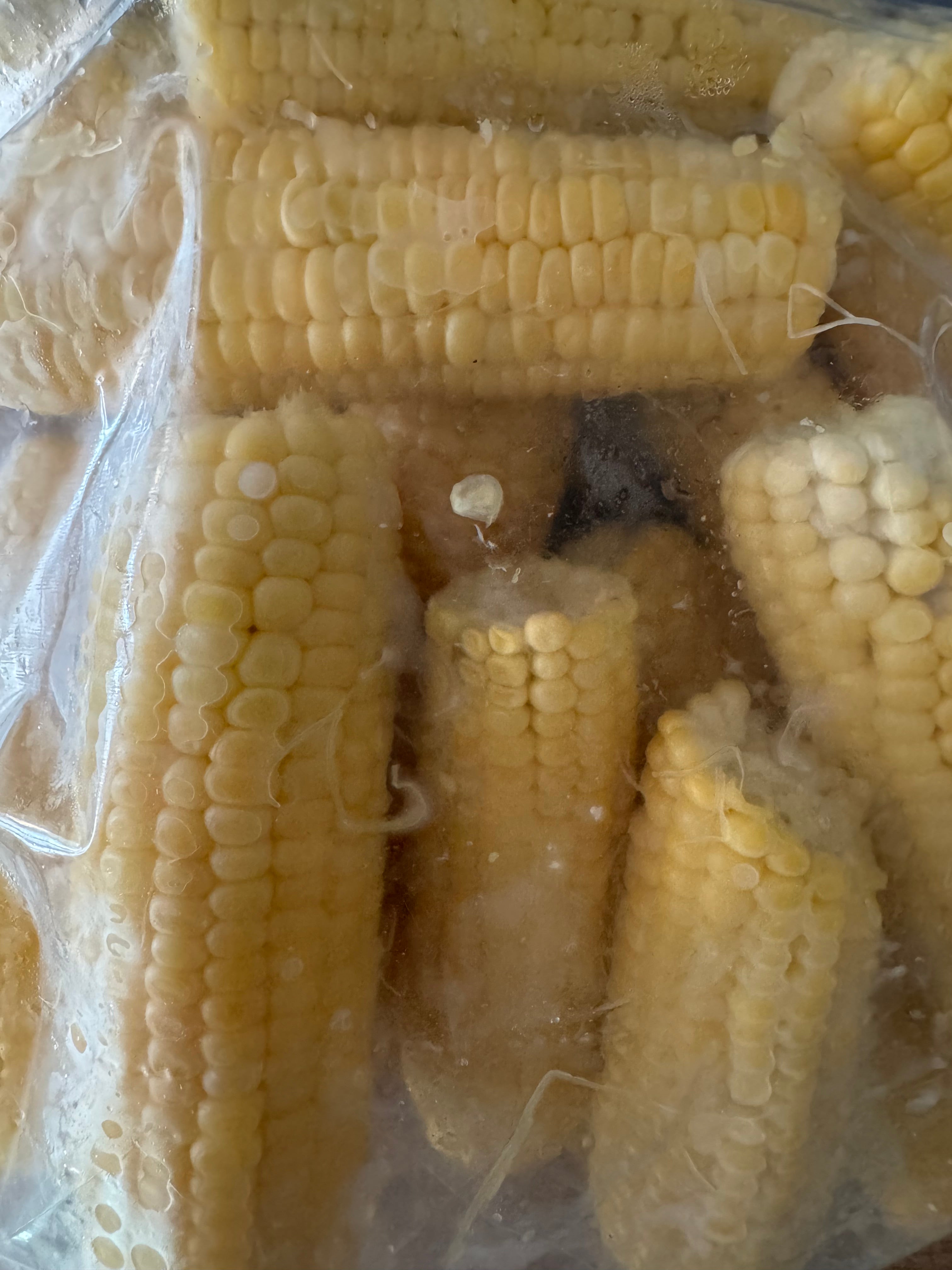 Fresh-Shucked Kandy Korn Sweet Corn (12)