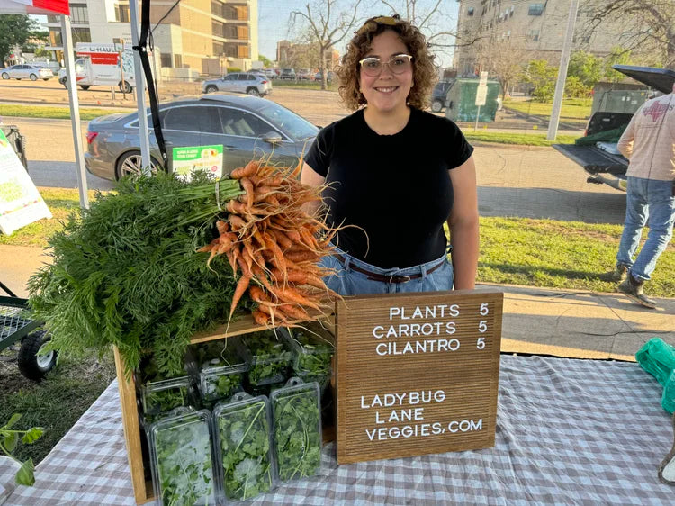 Easter Egg Radishes (approx 3-5ct)