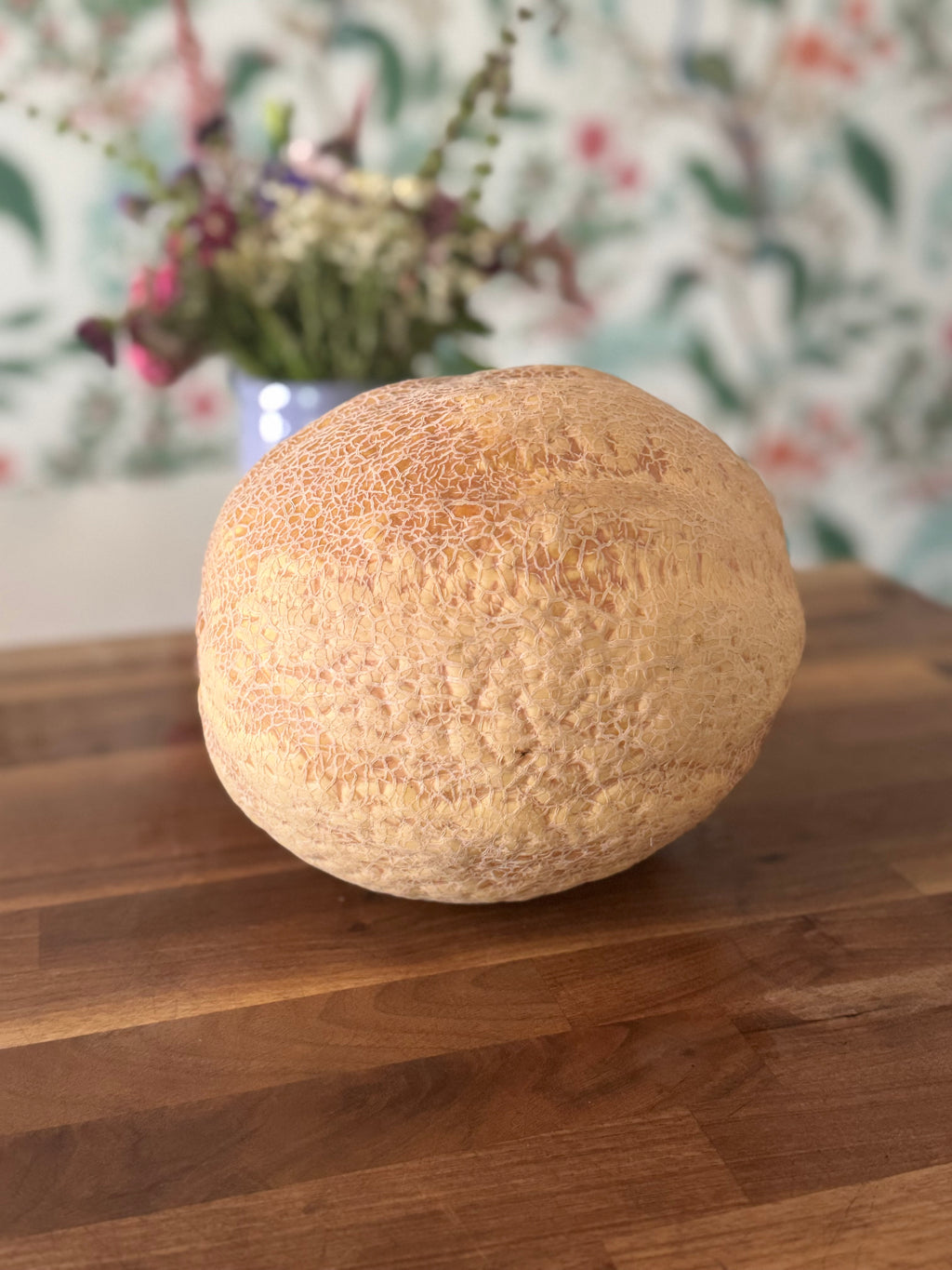 Certified Organic Cantaloupe (large)