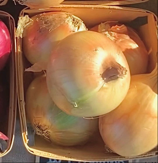 Yellow Onions (1 quart)