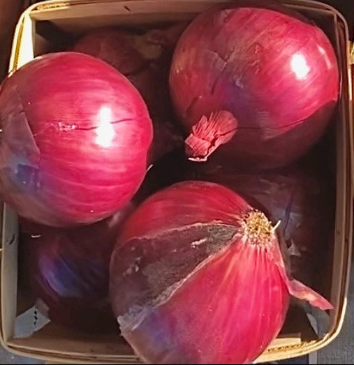 Red Onions (1 quart)