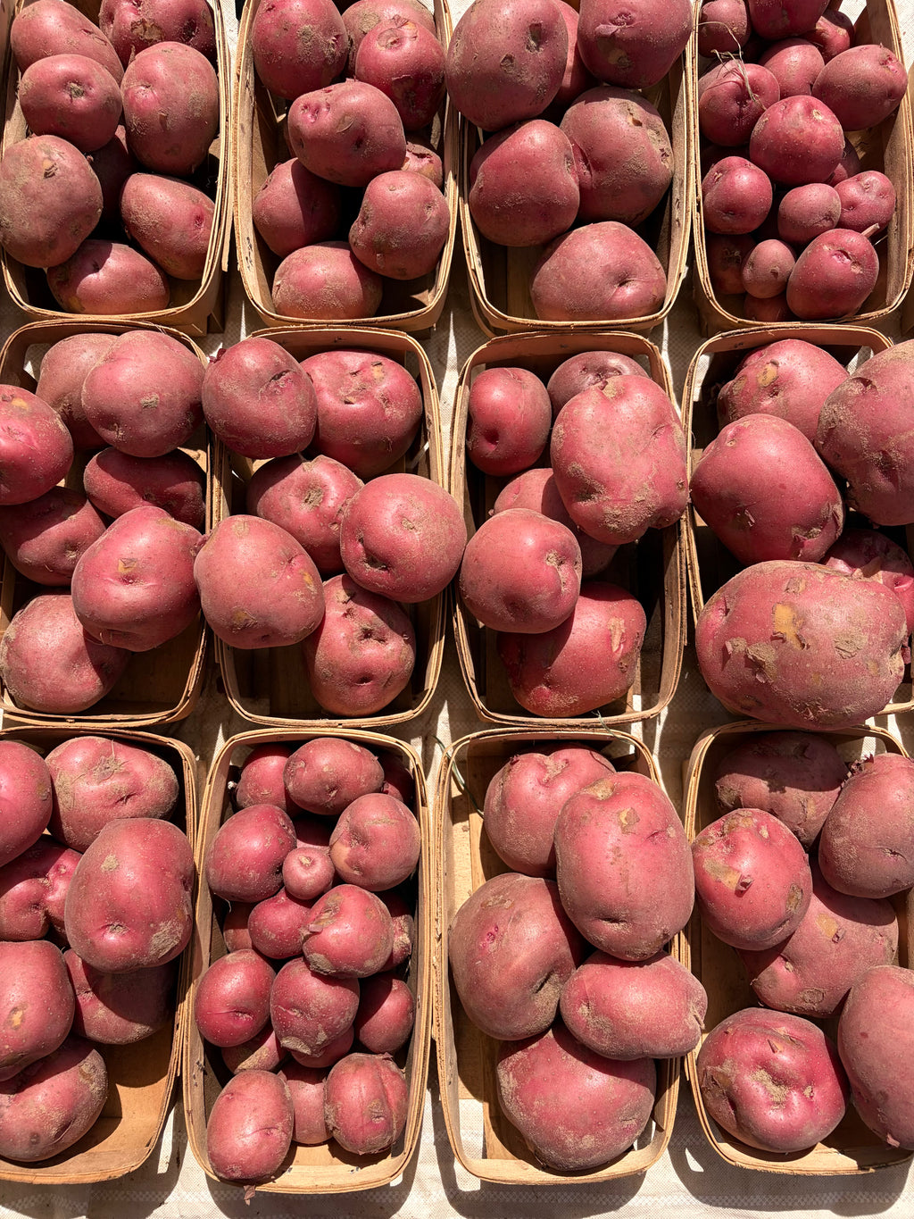 Red Potatoes (1 quart)