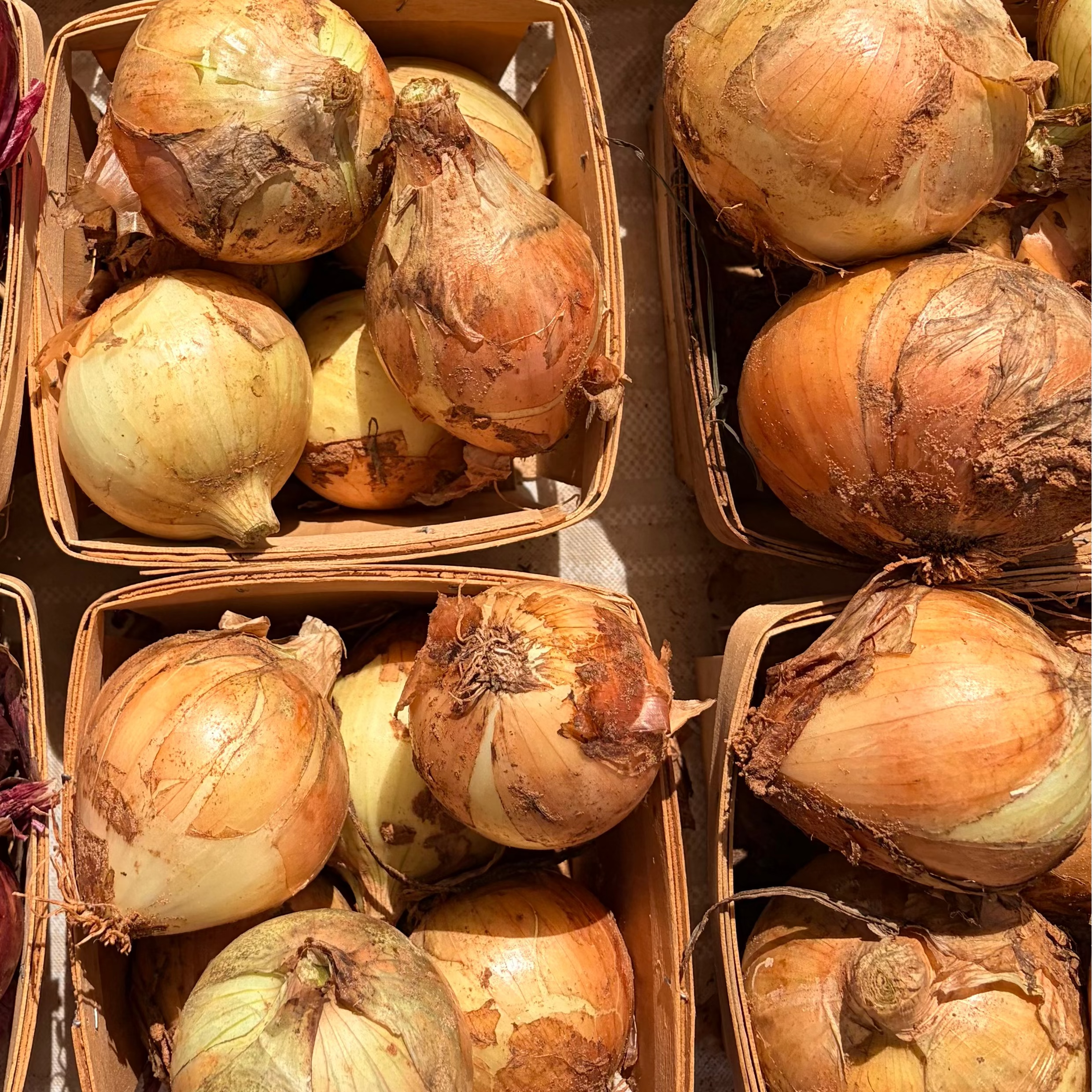 Yellow Onions (1 quart)