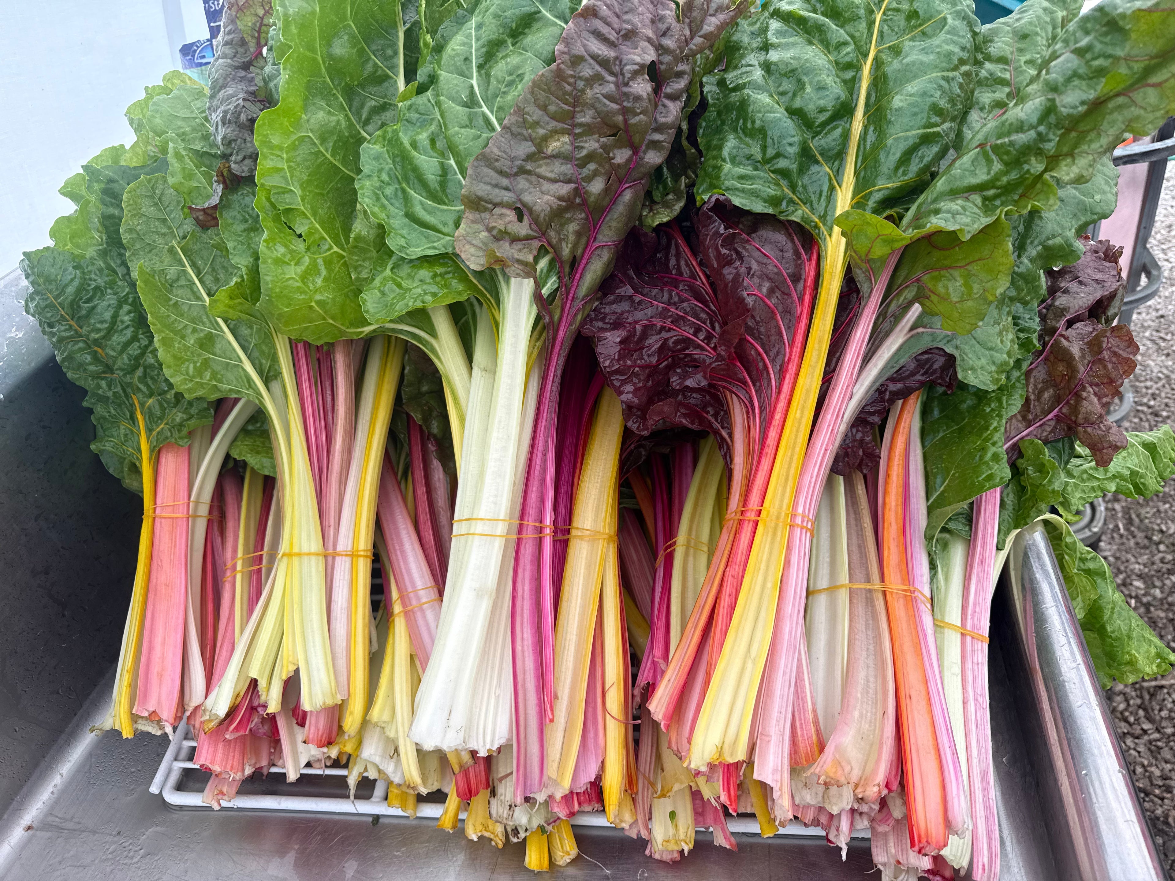 Certified Organic Rainbow Chard (bunch)