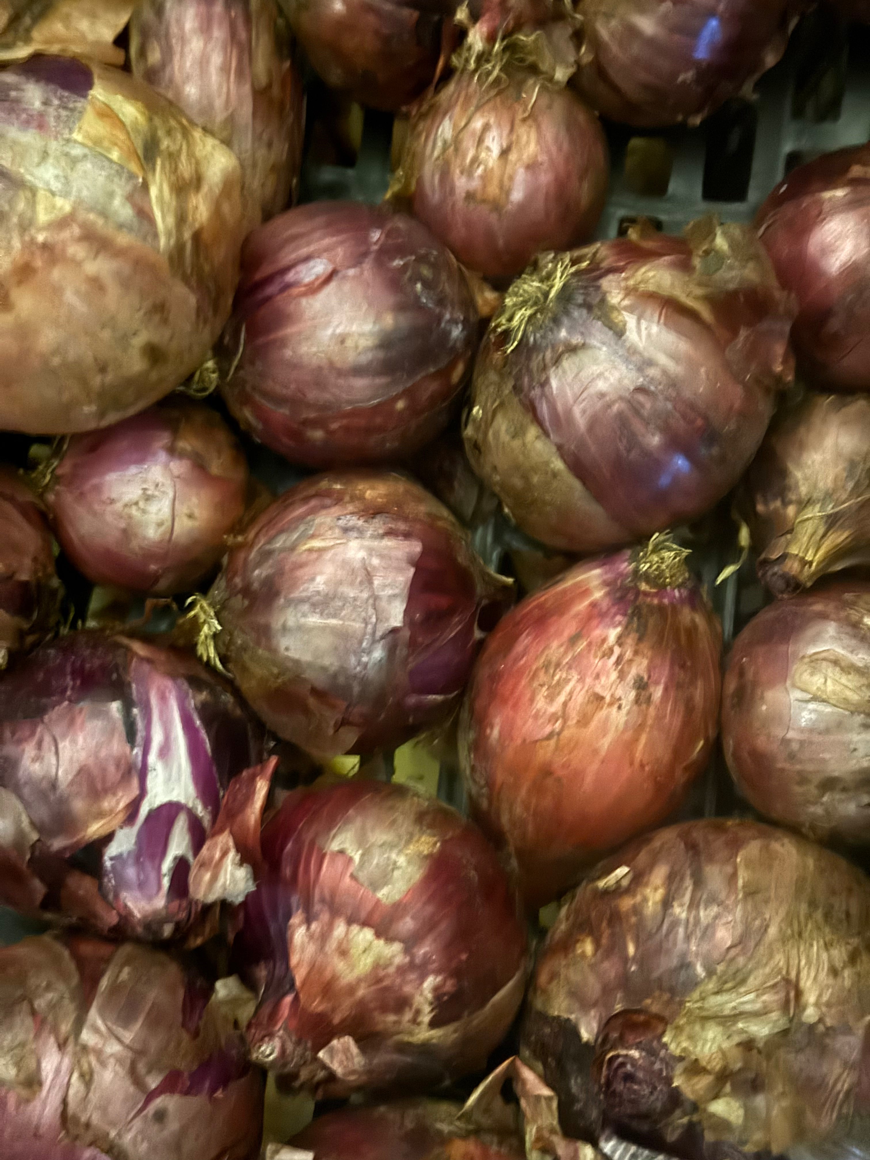 Certified Organic Red Onions (1lb)