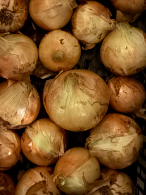 Certified Organic Yellow Onions (1lb)