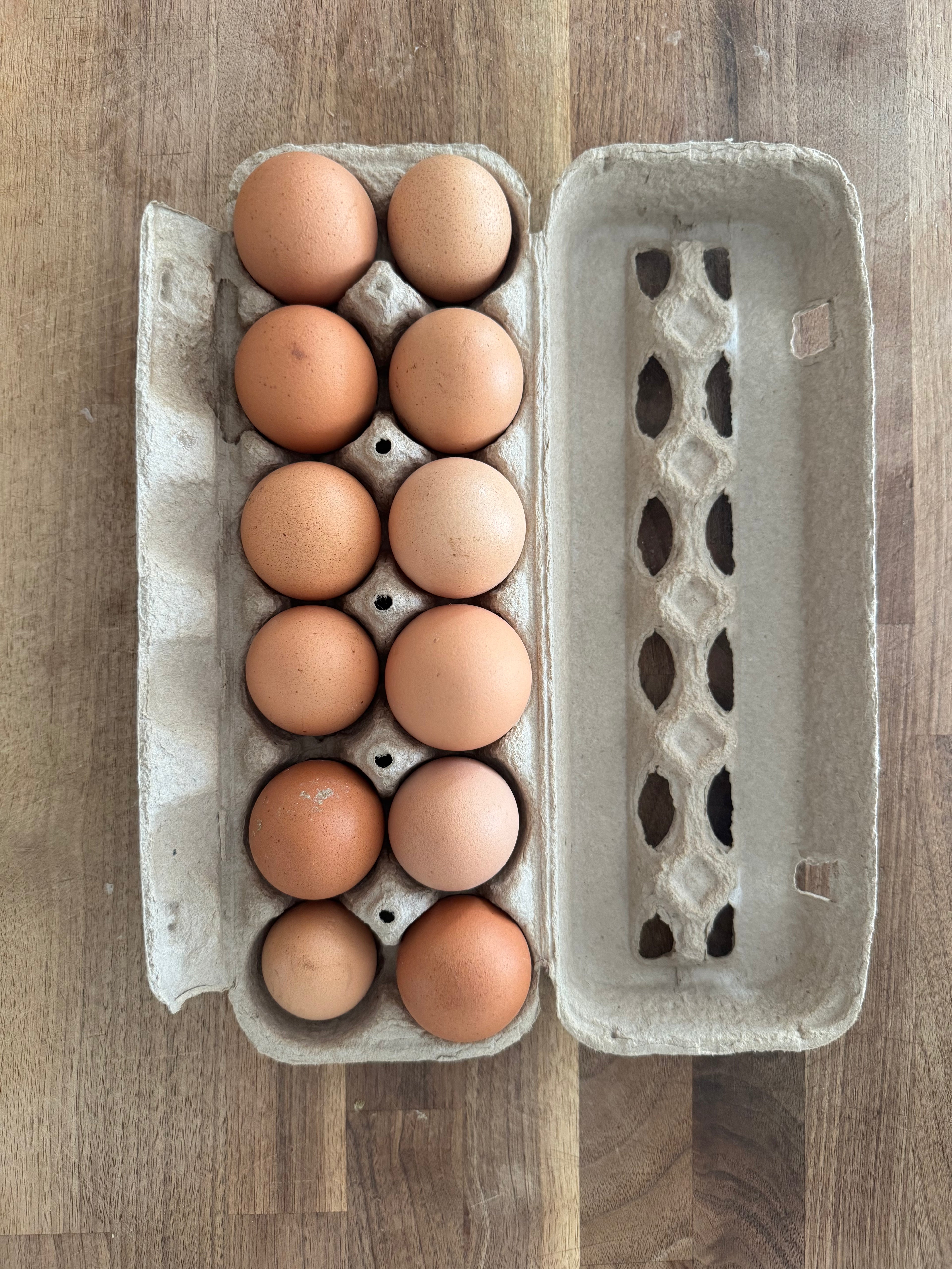 Pasture-Raised Eggs