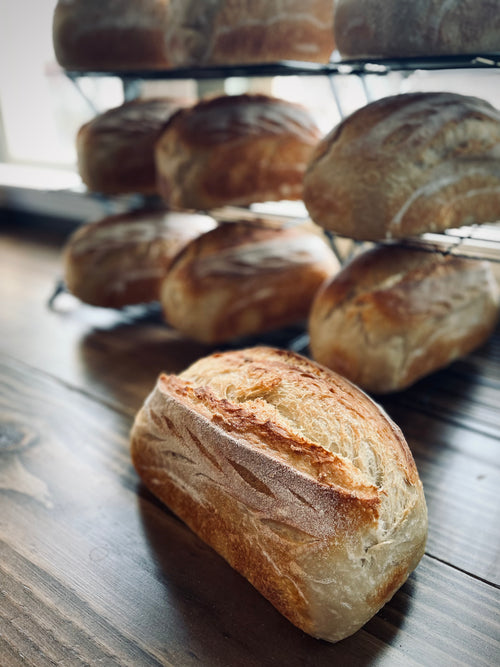 Artisan Sourdough Loaf