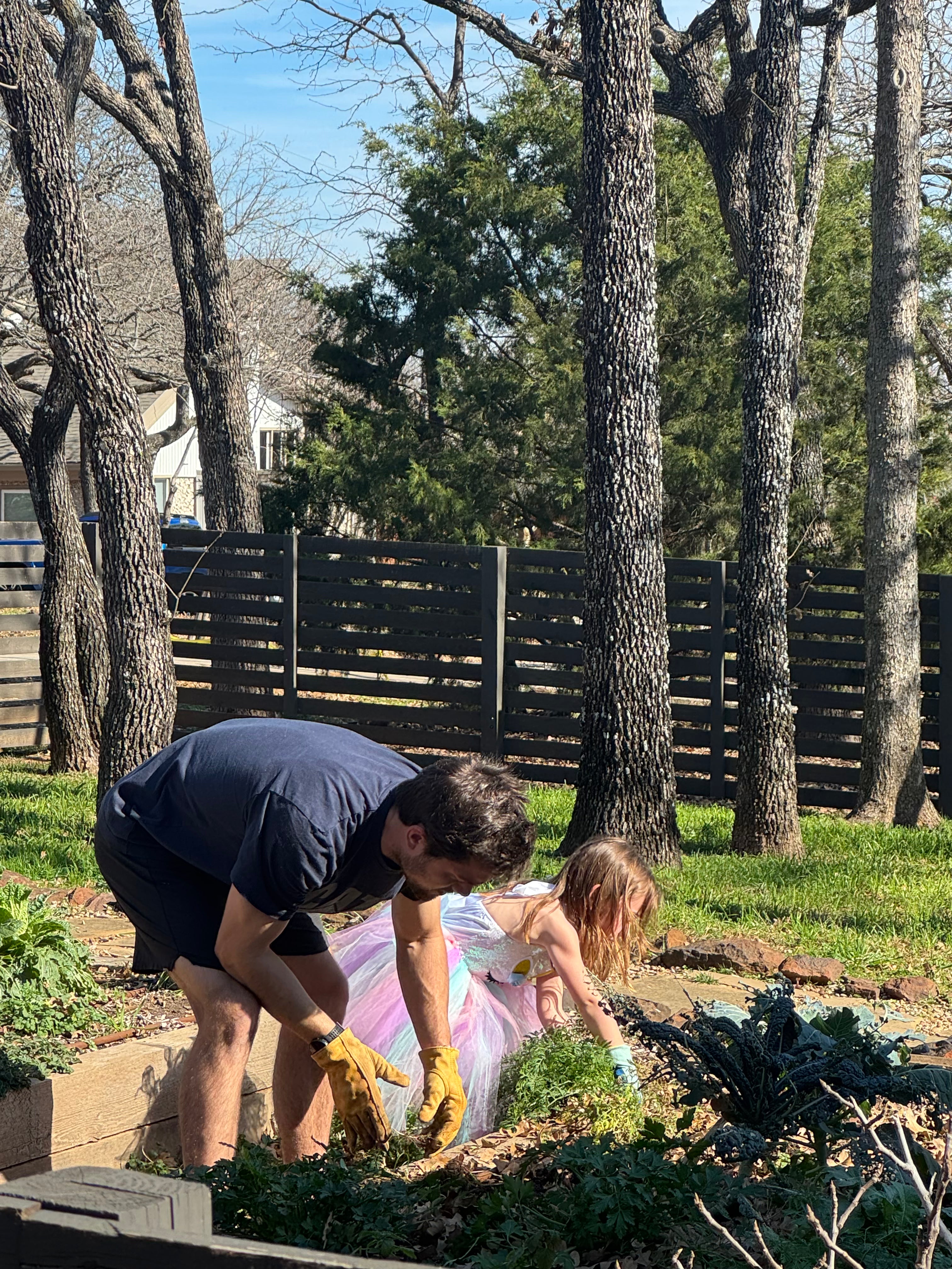 Spearmint, Fresh (2oz clamshell)