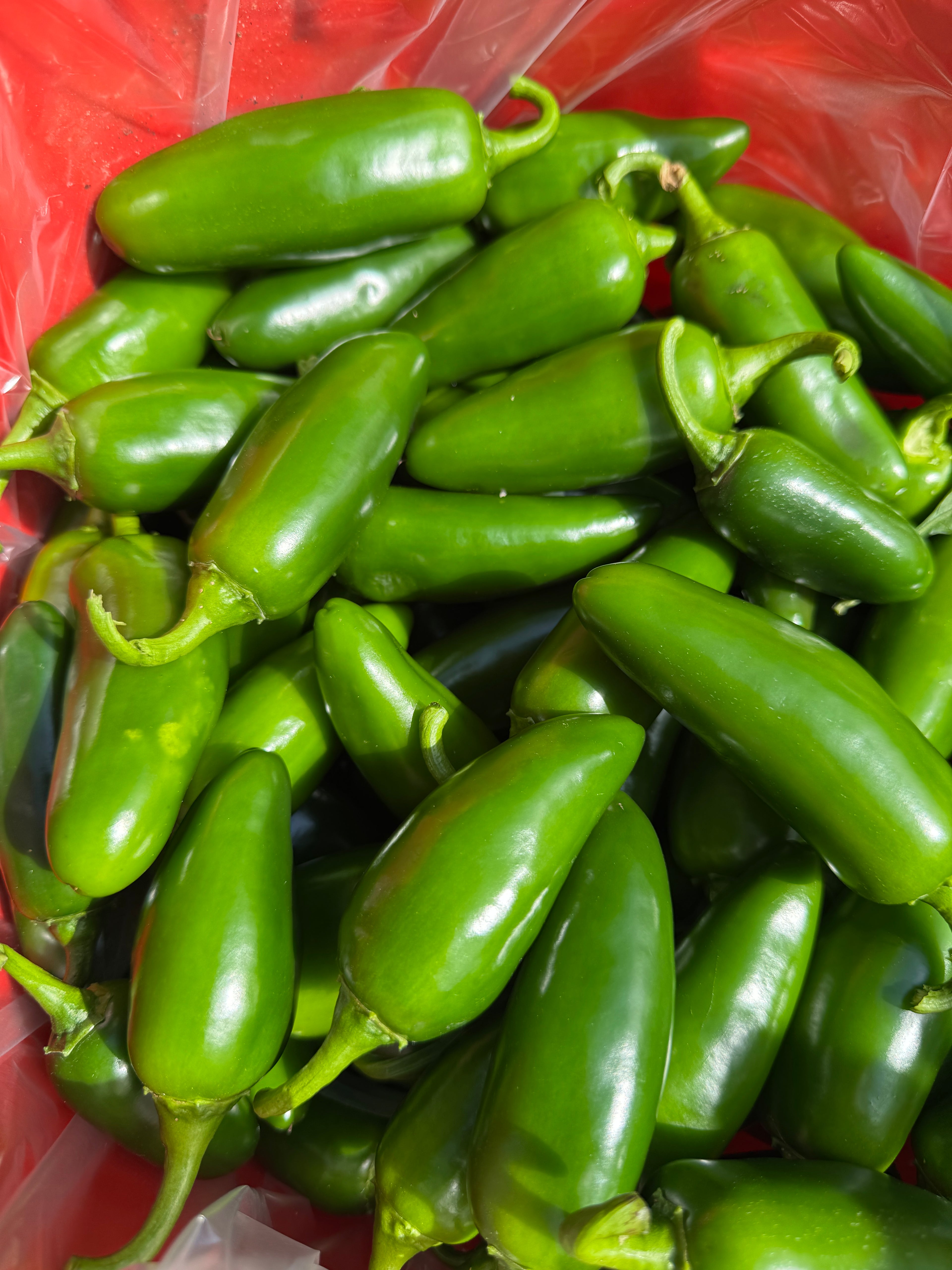 Jalapeños (1 Pint)